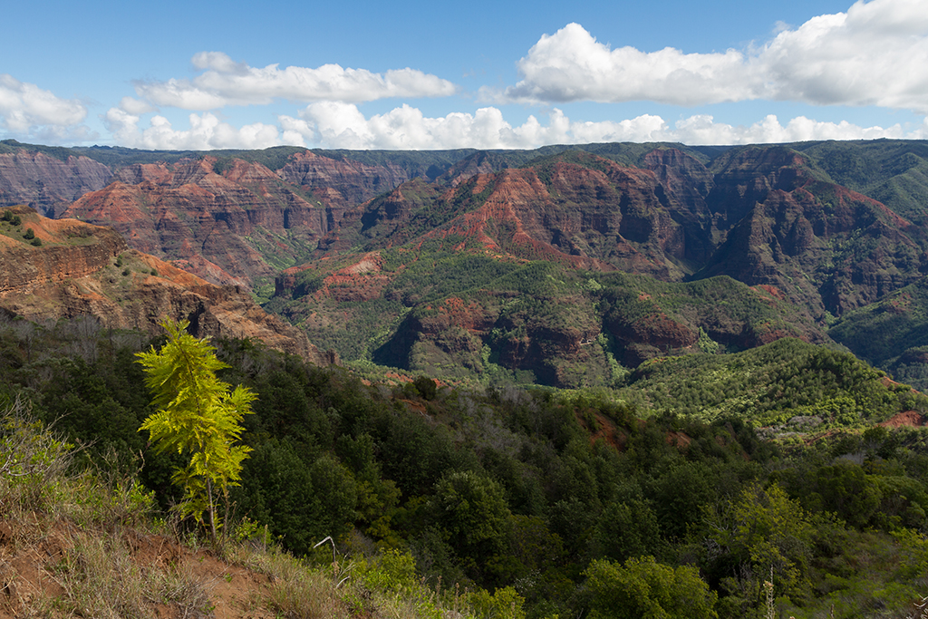 Kauai - 024.jpg